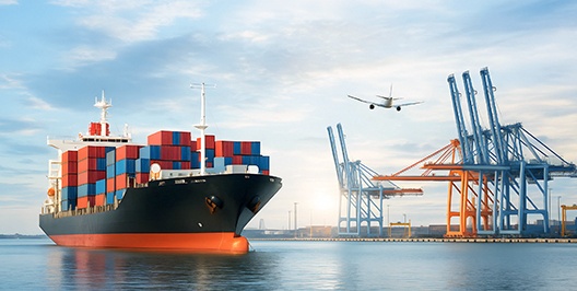 Customized Logistics Solutions