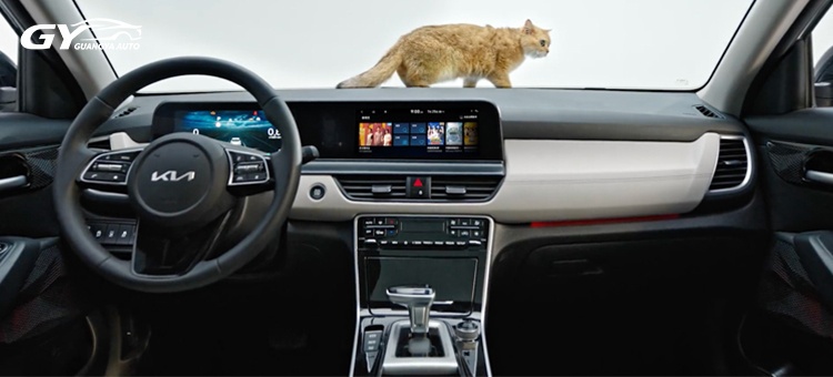 Intelligent Driving System