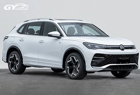 Volkswagen-Tiguan-L16