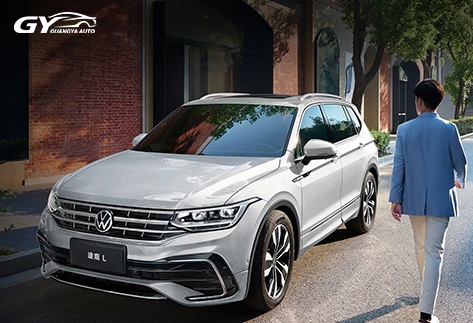 Volkswagen-Tiguan-L18