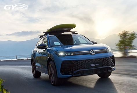 Volkswagen-Tiguan-L17