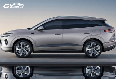 2026-BYD-Sea-Lion-06-DM-i–Plug-in-Hybrid-SUV-for-Global-Export15