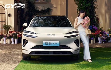 2026 BYD Sea Lion 06 EV | Pure Electric SUV for Global Export
