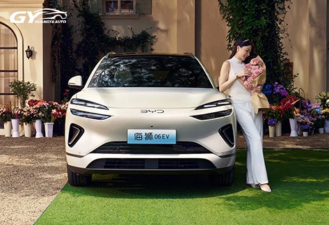2026-BYD-Sea-Lion-06-EV-Pure-Electric-SUV-for-Global-Export16