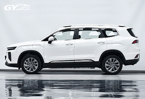 2023-Ruilan-9-6-7-Seat-Fast-Battery-Swap-Electric-SUV-for-Global-Export16